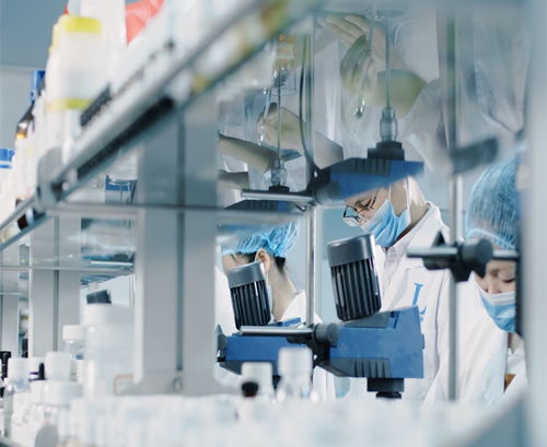 廣州蘿薇面膜代加工起訂量及信息咨詢(xún)服務(wù)指南