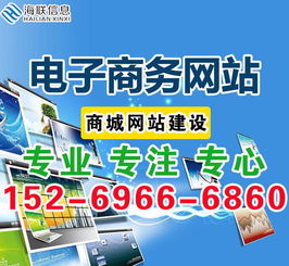 互聯(lián)網(wǎng)時(shí)代企業(yè)電子商務(wù)商城網(wǎng)站建設(shè)與信息咨詢(xún)服務(wù)指南